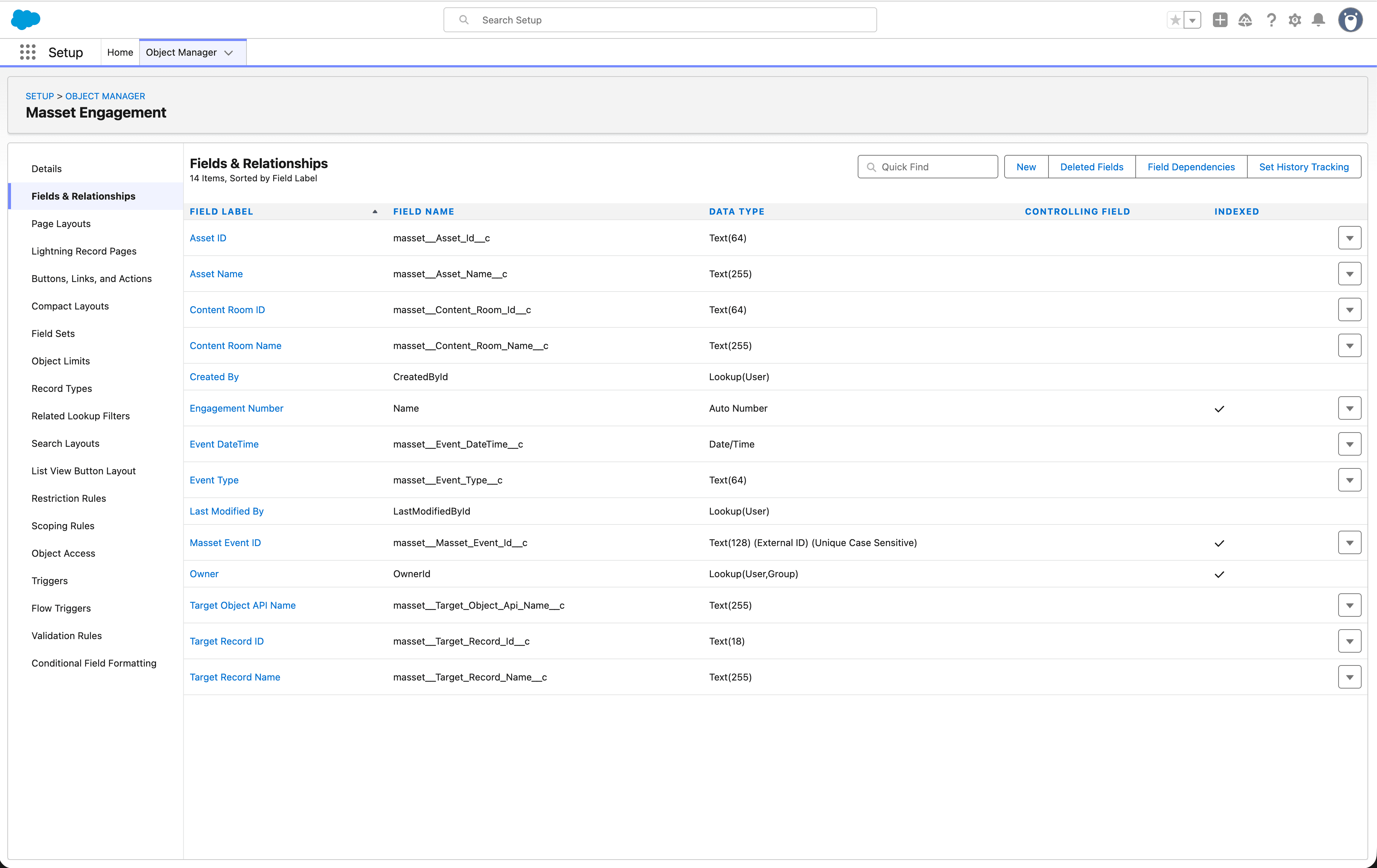 The Masset Engagement object and its fields inside Salesforce